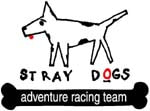 TEAMSTRAYDOGS.COM